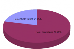 Torta Comunali Affluenza ore 12:00