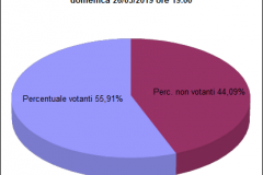 Torta Comunali Affluenza ore 19:00