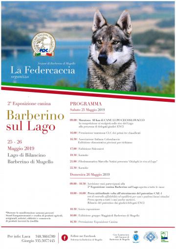 II esposizione canina