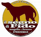 logo Il segno di fido