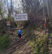 ultra trail